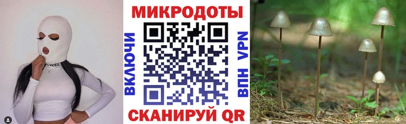 Псилоцибиновые грибы Psilocybe  Асбест 
